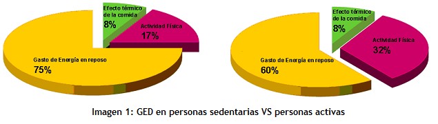 ged-en-personas-sedentarias