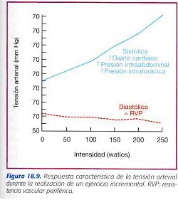 respuesta-presion-arterial-al-ejercicio-1