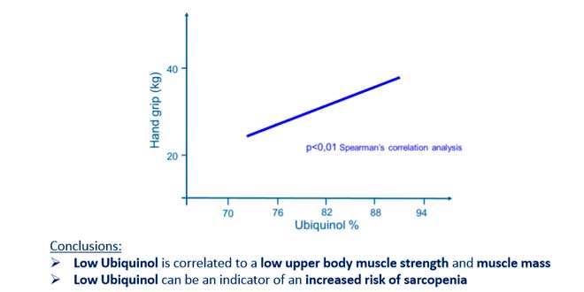 Ubiquinol y sarcopenia Ubiquinol y sarcopenia