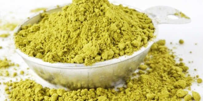 Gymnema silvestre pérdida de peso Gymnema silvestre pérdida de peso