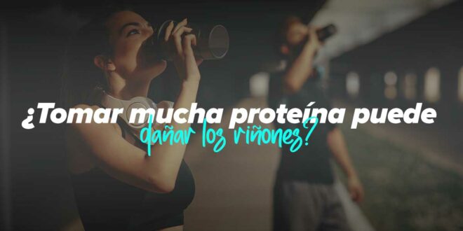 ¿Tomar mucha proteína puede dañar los riñones?