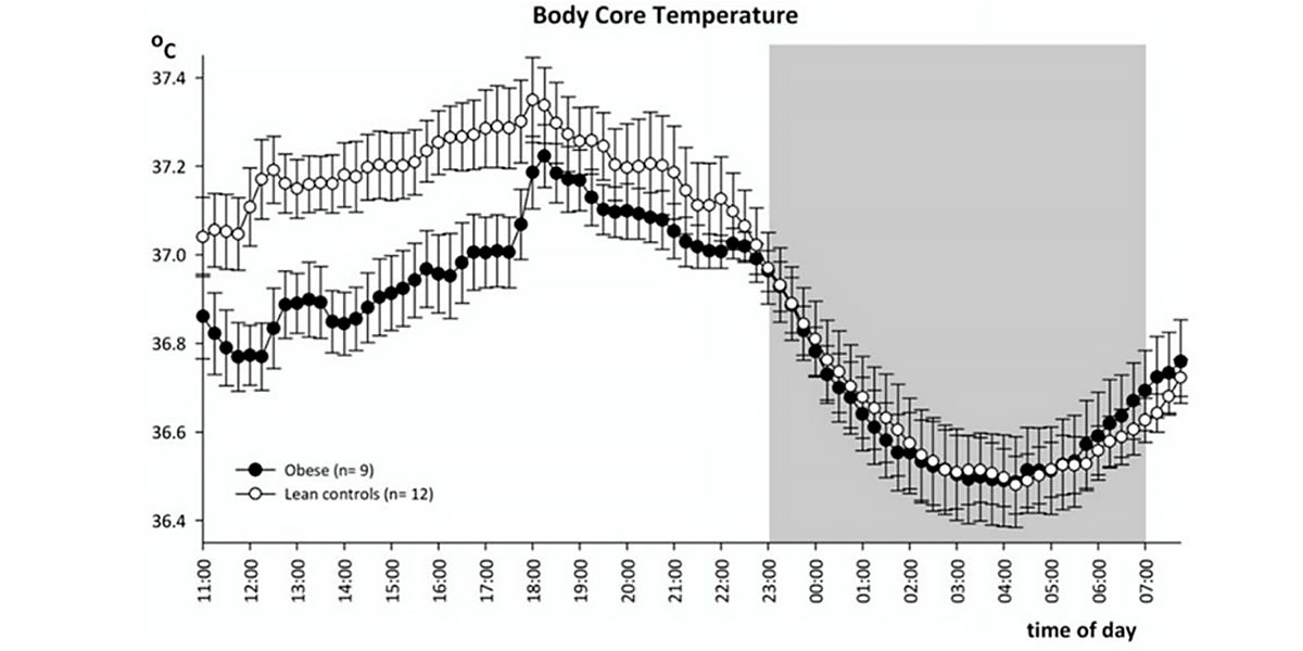 Fluctuación de la temperatura corporal