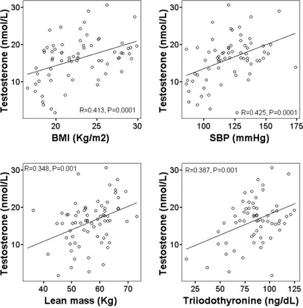 testosterona-libre-vs-cortisol