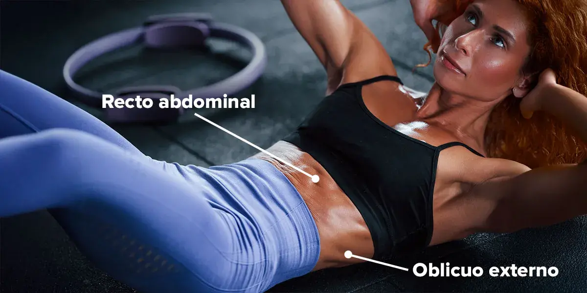 Músculos involucrados en el crunch abdominal Músculos involucrados en el crunch abdominal