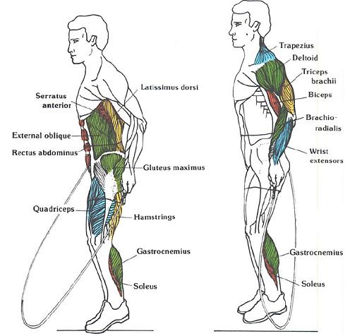 saltar-la-comba-correctamente