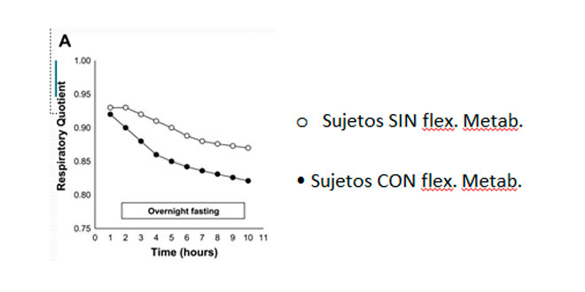 flexibilidad-metabolica