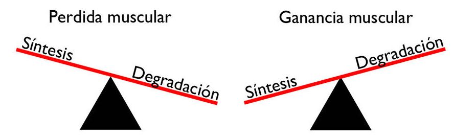 Balance energético