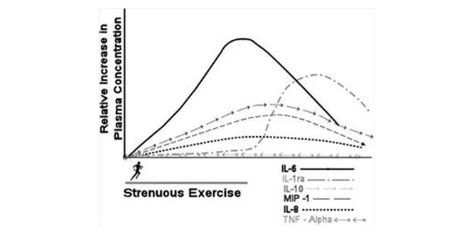 ejercicio-antiinflamacion