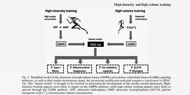 entreno-alta-intensidad