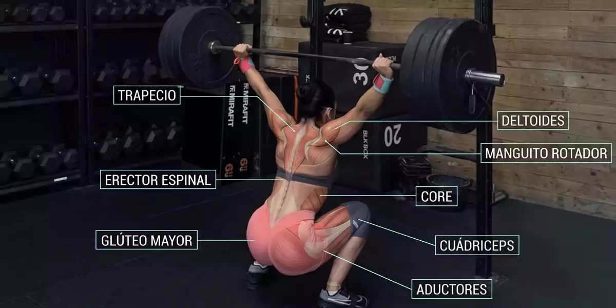 ¿Qué músculos trabaja la sentadilla de arrancada?