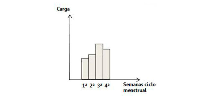grafica-ciclo-menstrual
