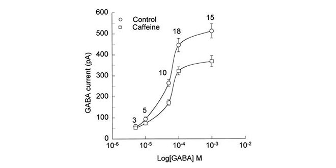 Gaba y cafeína grafique-gaba-cafeine