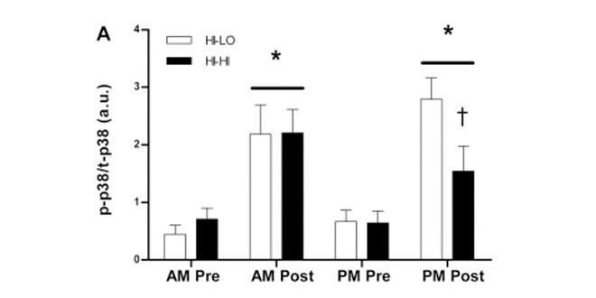 grafica-placebo-carbohidratos