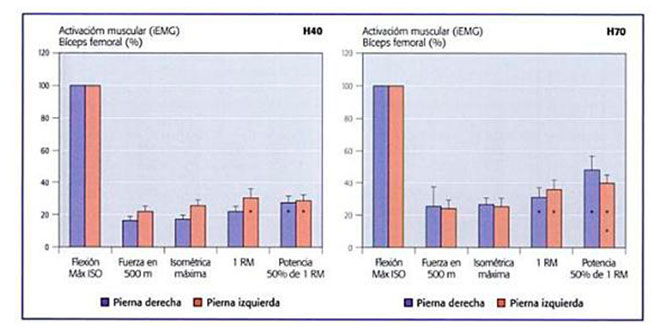 grafica