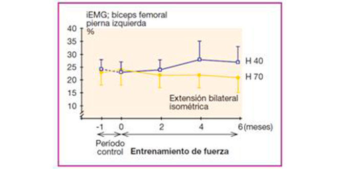 grafica2