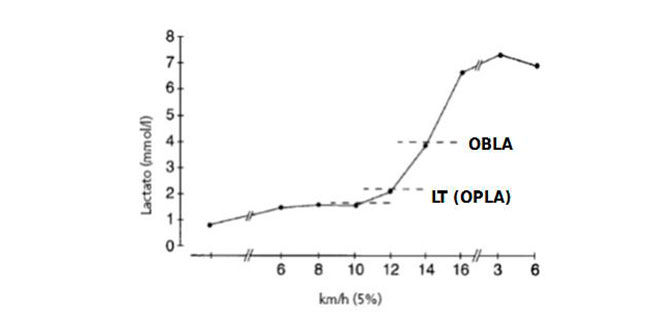 inicio-concentracion-lactato