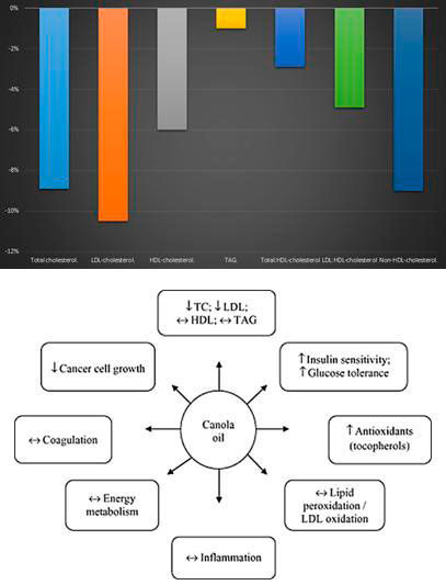 aceite-efectos-sobre-la-salud