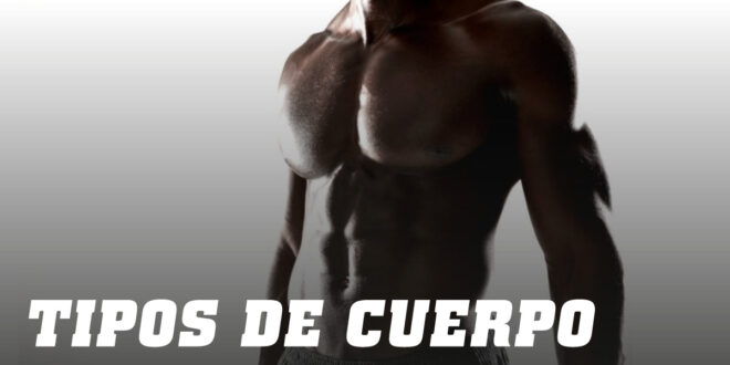 Cuáles son y cómo saber Mi Tipo de Cuerpo Cuáles son y cómo saber Mi Tipo de Cuerpo