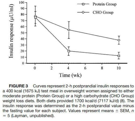 Whey Protein Isolate a fondo Suplementación deportiva