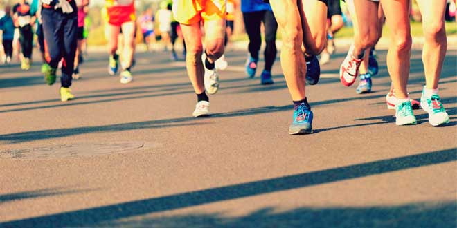 Glutamine et sport