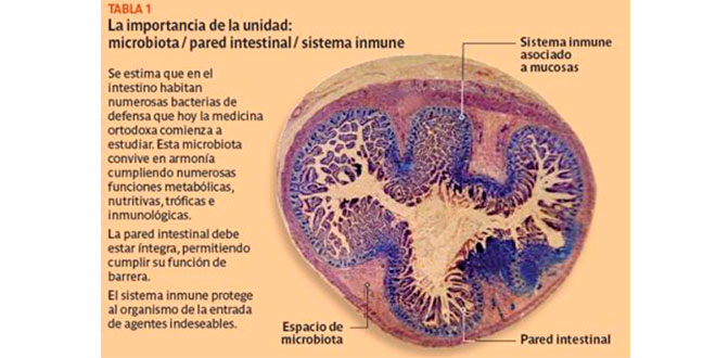 salud-intestinal