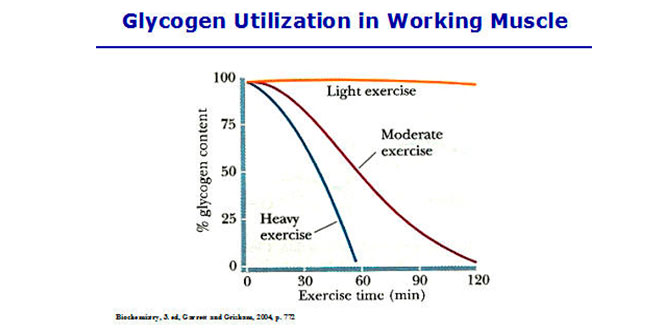 Energía procedente del sistema de fosfágenos