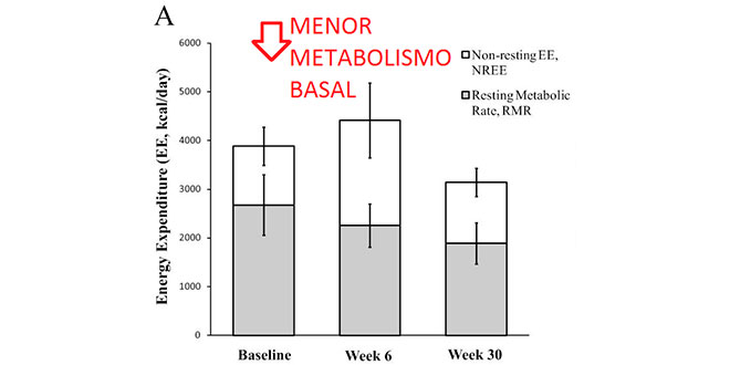 reduccion-metabolismo
