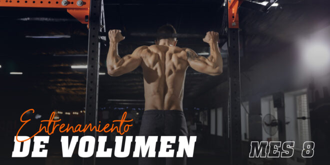 Entrenamiento de Volumen. Mes 8