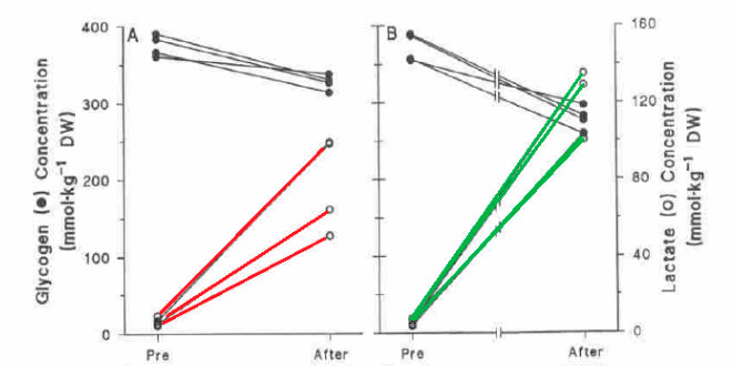 contraccion-muscular-fatiga