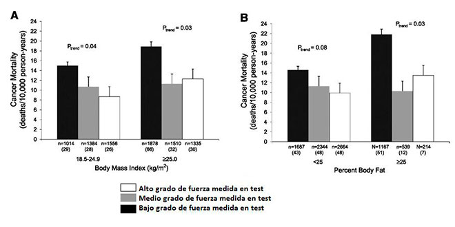 grafico test forza