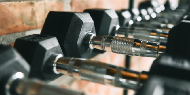 Top 5 culturistas que hicieron historia Top 5 culturistas que hicieron historia