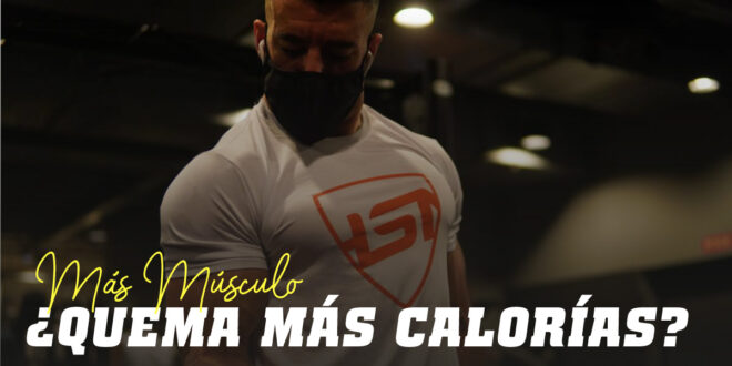 ¿Cuanto más músculo más grasa se quema?