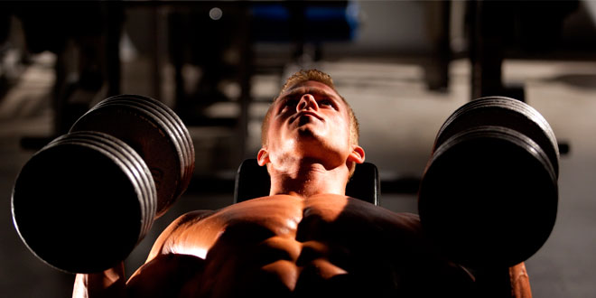 Efectos de la periodización lineal VS no lineal