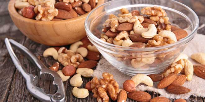 Frutos Secos - Proteína Vegetal Frutos Secos - Proteína Vegetal