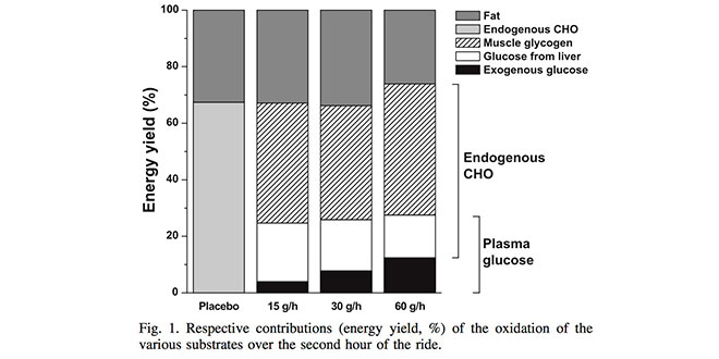 oxidacion-sustrato-energetico