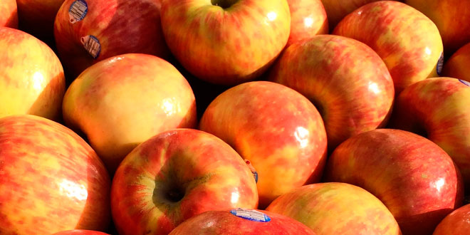 Fruta entre comidas fruta-entre-comidas