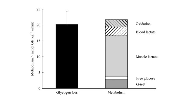 glucogeno-entrenamiento