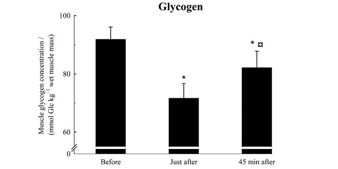 glucogeno-muscular