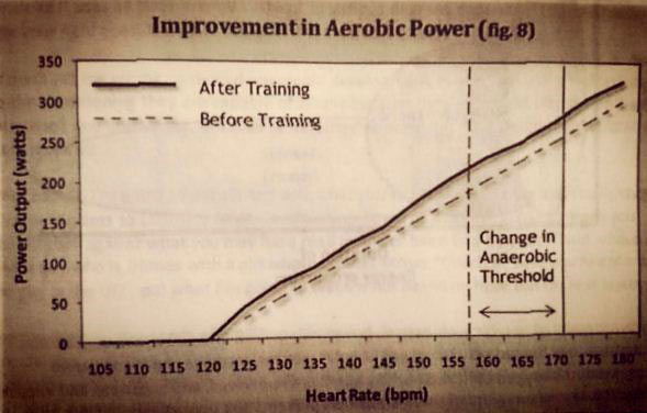 grafica-entrenamiento