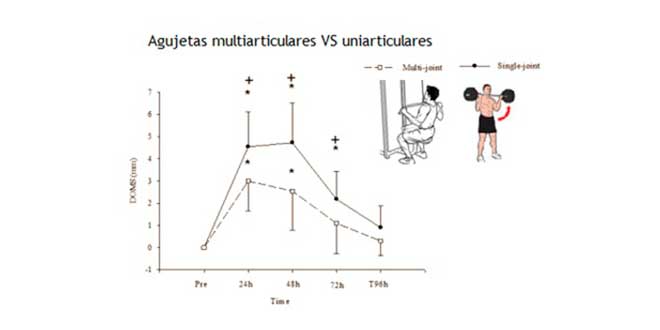 agujetas-ejercicios-multiarticulares