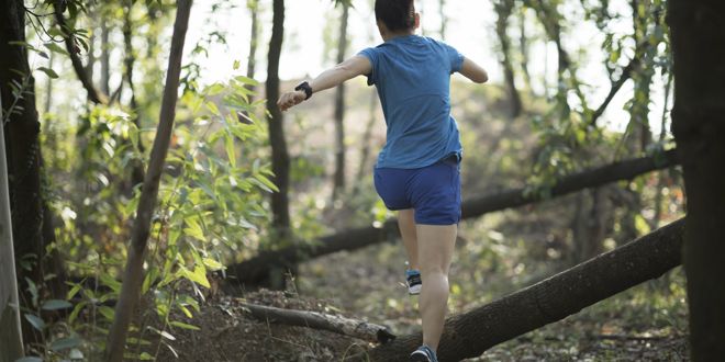 Sentier de Trail 