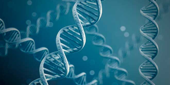 Clasificación de proteínas Clasificación de proteínas