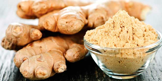 Moringa y Jengibre Jengibre Propiedades