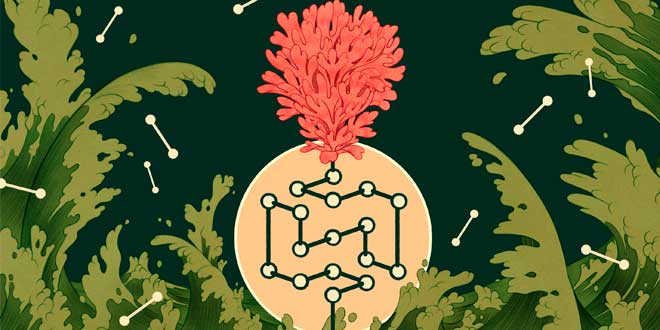 Moléculas de las proteínas Moléculas de las proteínas