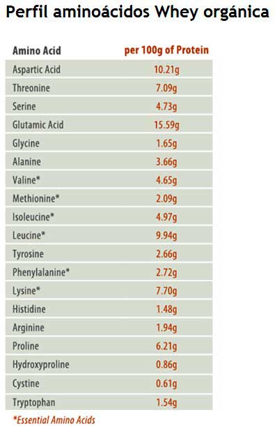 perfil de aminoacidos Whey Protein perfil de aminoacidos Whey Protein