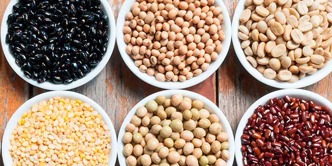 Legumbres ricas en Proteínas