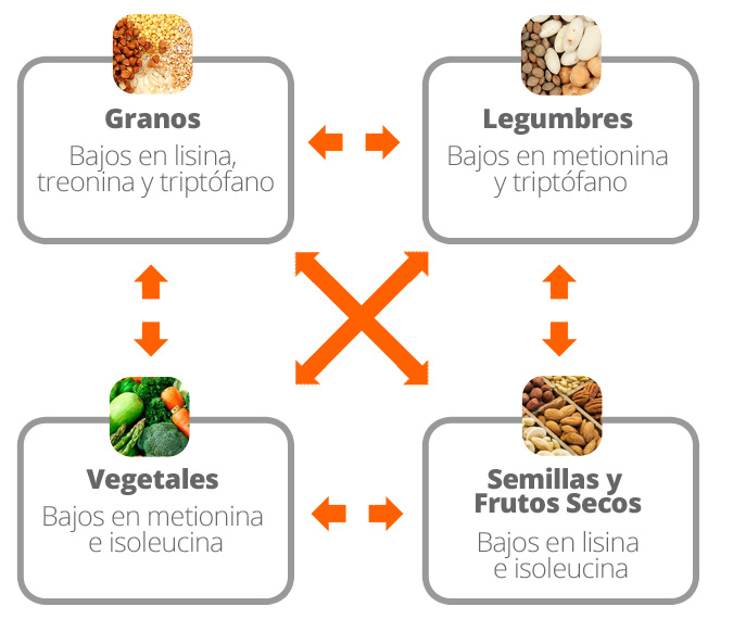 Combiner Proteines Veganes