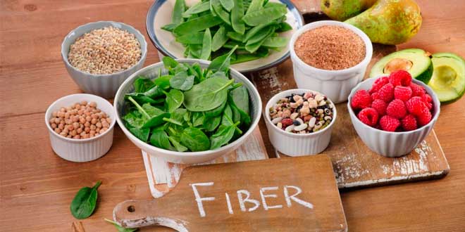 Fibres