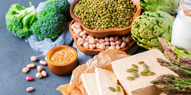 Fuentes Proteicas Veganas