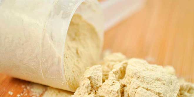 Whey Protein
